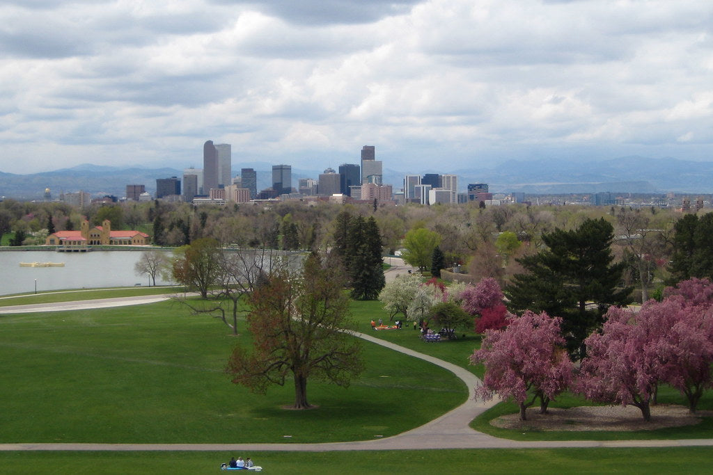 Denver skyline and mountains seen across City Park in spring